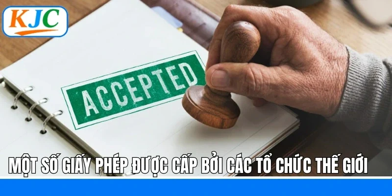 Một số giấy phép được cấp bởi các tổ chức thế giới